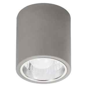 Rábalux 2485 Donald beltéri ráépíthető és beépíthető lámpa, E27 1x MAX 60W, IP20, szürke