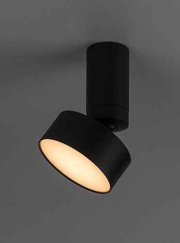 Rábalux 71321 Ovidia,beltéri technikai mennyezeti LED 10W H17cm fekete Beltéri lámpa Ráépíthető és Beépíthető IP20 fém - Image 3