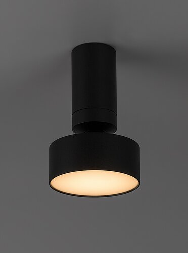 Rábalux 71321 Ovidia,beltéri technikai mennyezeti LED 10W H17cm fekete Beltéri lámpa Ráépíthető és Beépíthető IP20 fém - Image 4