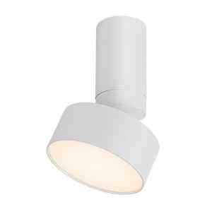 Rábalux 71326 Ovidia,beltéri technikai mennyezeti  LED 10W H17cm fehér Beltéri lámpa Ráépíthető és Beépíthető IP20 fém