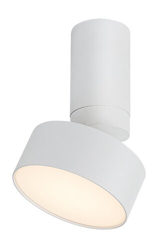 Rábalux 71326 Ovidia,beltéri technikai mennyezeti LED 10W H17cm fehér Beltéri lámpa Ráépíthető és Beépíthető IP20 fém