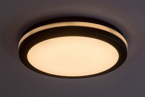 Rábalux 77035 Indre modern kültéri mennyezeti lámpa LED 28W IP54 fekete - Image 2